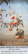 Pedro Moreno Meyerhoff, Peintures et Dessins, 1992, Exhibition Poster, Printed in France