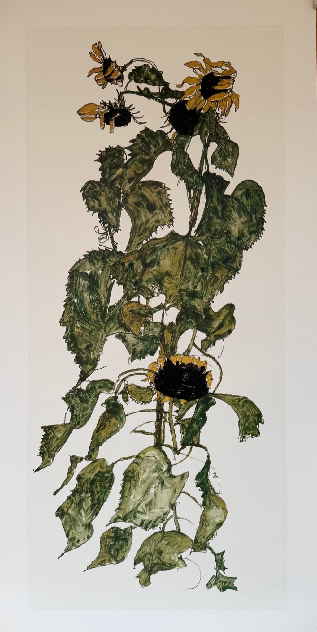 Egon Schiele (1890-1918), Sunflowers