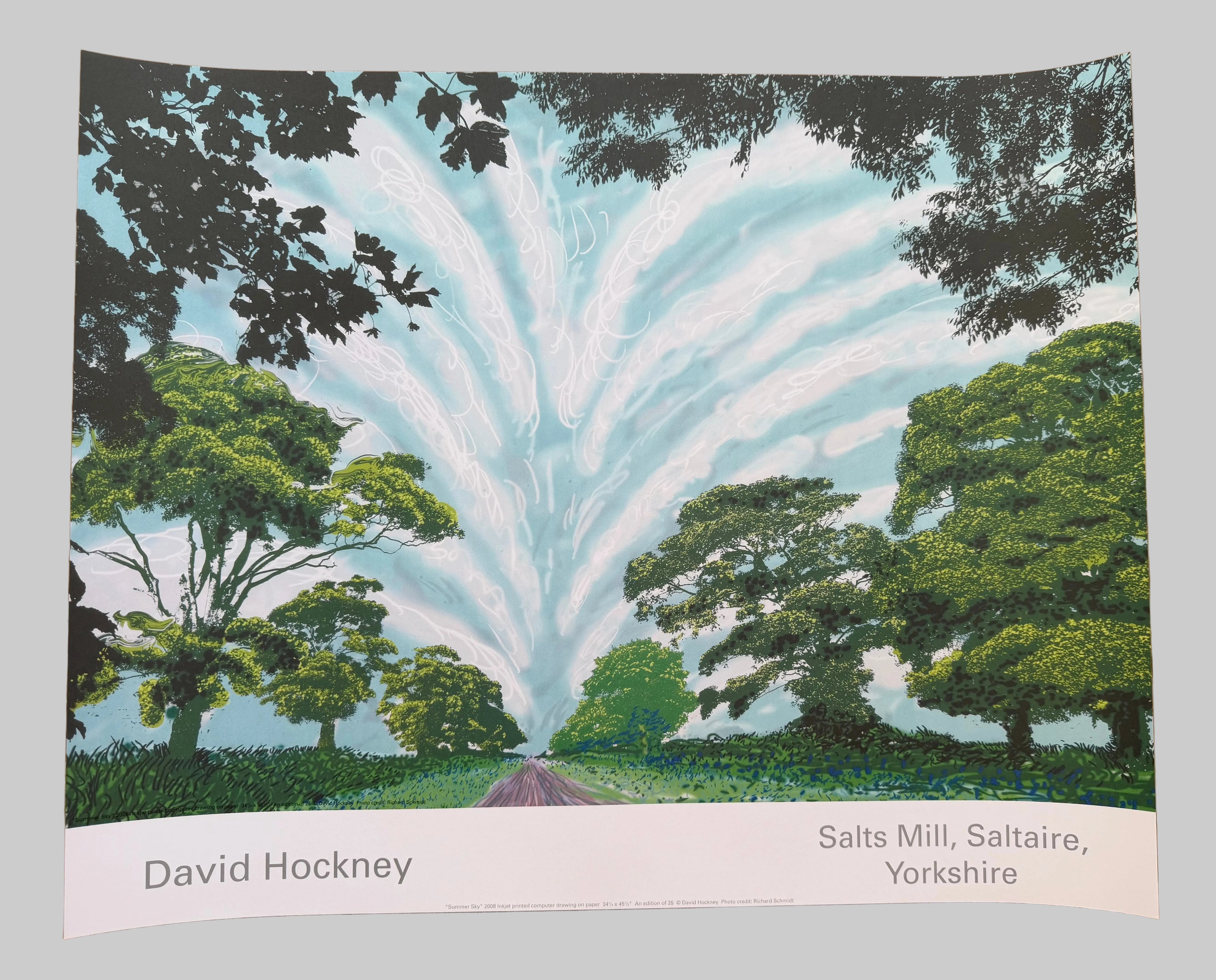 David Hockney – Summer Sky, 2008 | Authorised Poster