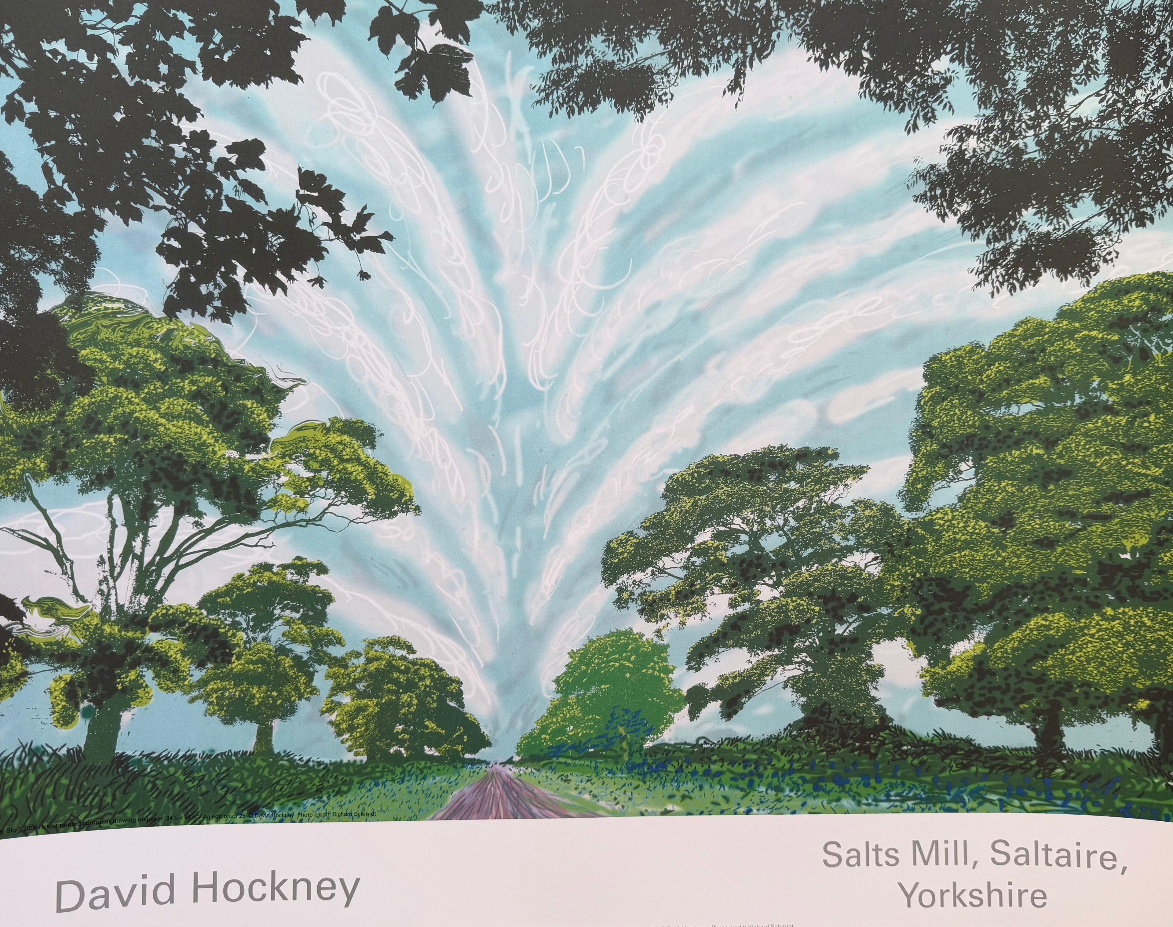 David Hockney – Summer Sky, 2008 | Authorised Poster